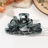 Fashion Lady Amber Barrettes Large
