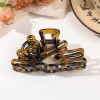 Fashion Lady Amber Barrettes Large