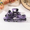 Fashion Lady Amber Barrettes Large